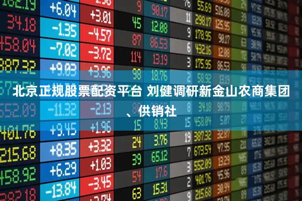 北京正规股票配资平台 刘健调研新金山农商集团、供销社