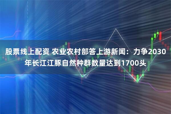 股票线上配资 农业农村部答上游新闻：力争2030年长江江豚自然种群数量达到1700头